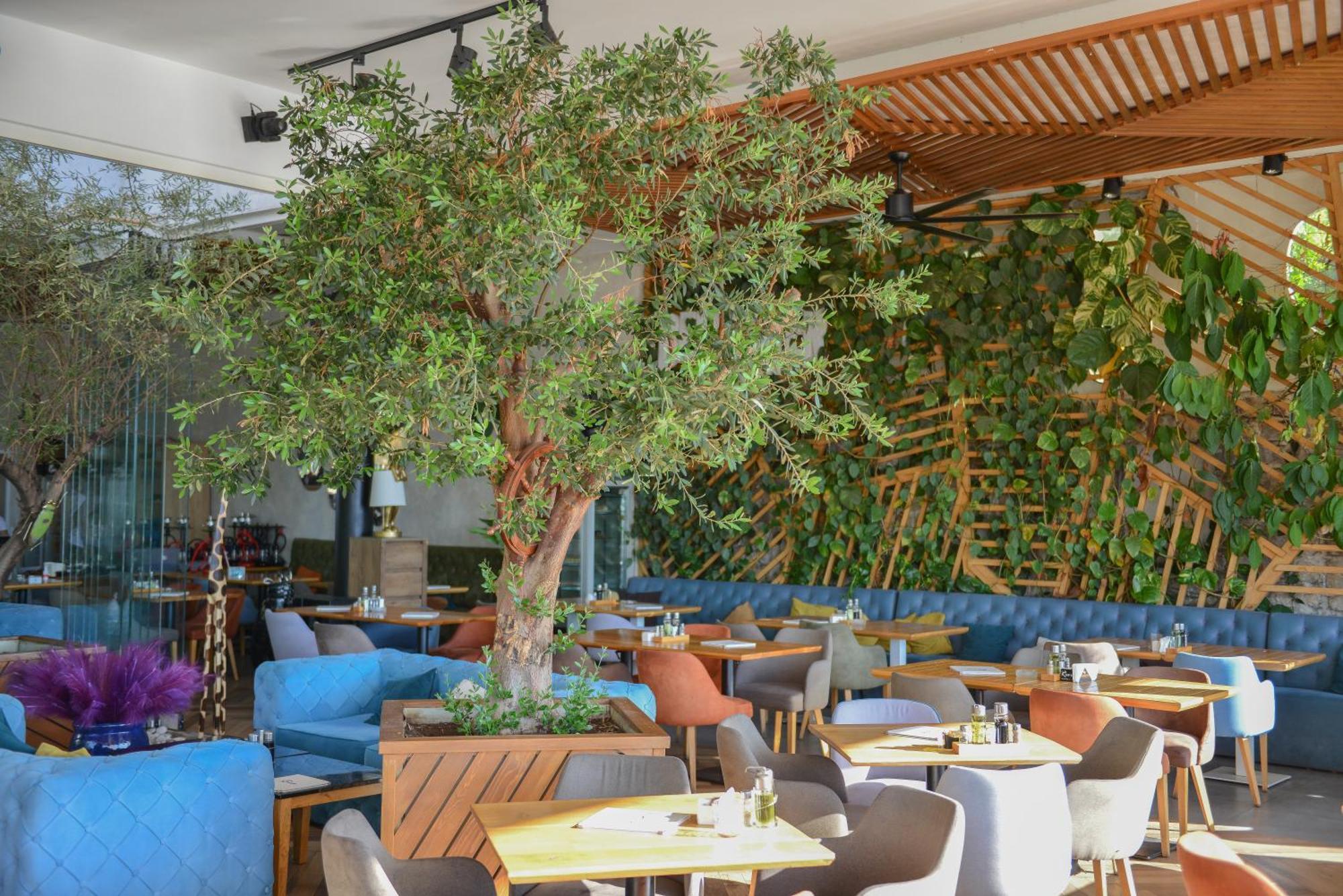Hotel Riva บุดวา ภายนอก รูปภาพ